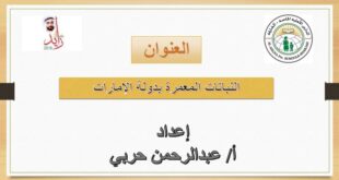 حل درس النباتات المعمرة بدولة الامارات العربية المتحدة دراسات اجتماعية الصف السابع الفصل الثالث